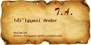 Tölgyesi Andor névjegykártya